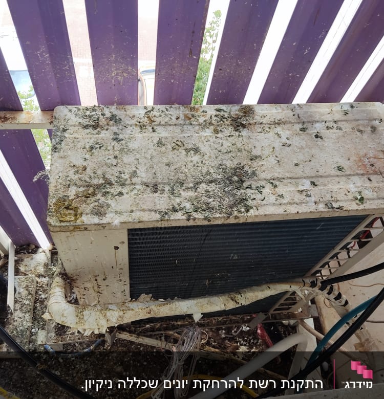 יחידת מיזוג אוויר מלוכלכת בצואת יונים